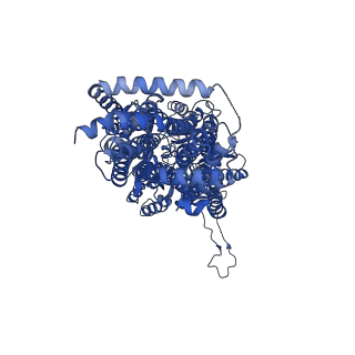 12089_7b8q_C_v1-2
Acinetobacter baumannii multidrug transporter AdeB in L*OO state