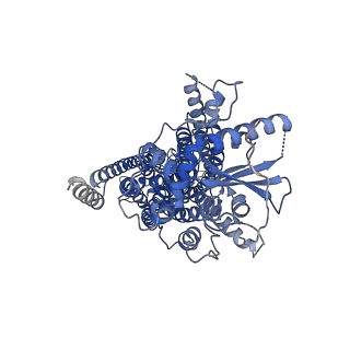 15913_8b8g_B_v1-0
Cryo-EM structure of Ca2+-free mTMEM16F F518H mutant in Digitonin