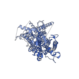 15914_8b8j_A_v1-0
Cryo-EM structure of Ca2+-bound mTMEM16F F518H mutant in Digitonin