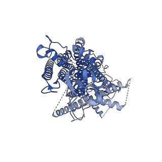 15914_8b8j_B_v1-0
Cryo-EM structure of Ca2+-bound mTMEM16F F518H mutant in Digitonin