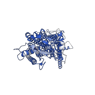 15916_8b8k_A_v1-0
Cryo-EM structure of Ca2+-bound mTMEM16F N562A mutant in Digitonin closed/closed