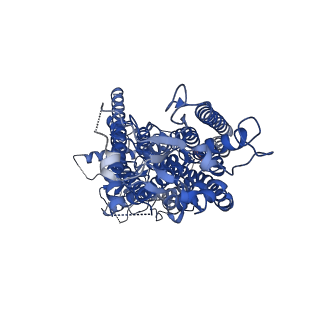 15916_8b8k_B_v1-0
Cryo-EM structure of Ca2+-bound mTMEM16F N562A mutant in Digitonin closed/closed