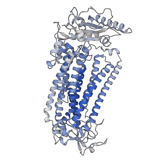 15917_8b8m_A_v1-0
Cryo-EM structure of Ca2+-bound mTMEM16F N562A mutant in Digitonin open/closed