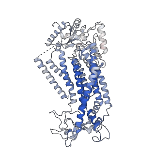 15917_8b8m_B_v1-0
Cryo-EM structure of Ca2+-bound mTMEM16F N562A mutant in Digitonin open/closed
