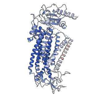 15919_8b8q_A_v1-0
Structure of mTMEM16F in lipid Nanodiscs in the presence of Ca2+