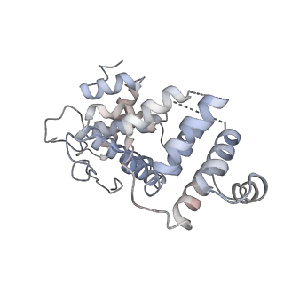 15921_8b8t_A_v1-0
Open conformation of the complex of DNA ligase I on PCNA and DNA in the presence of ATP