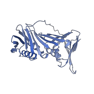 15921_8b8t_E_v1-0
Open conformation of the complex of DNA ligase I on PCNA and DNA in the presence of ATP