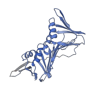 15921_8b8t_F_v1-0
Open conformation of the complex of DNA ligase I on PCNA and DNA in the presence of ATP