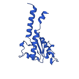 12095_7b93_B_v1-0
Cryo-EM structure of mitochondrial complex I from Mus musculus inhibited by IACS-2858 at 3.0 A