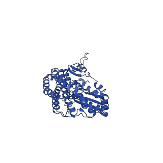 12095_7b93_D_v1-0
Cryo-EM structure of mitochondrial complex I from Mus musculus inhibited by IACS-2858 at 3.0 A