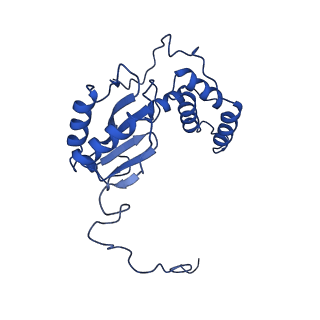 12095_7b93_E_v1-0
Cryo-EM structure of mitochondrial complex I from Mus musculus inhibited by IACS-2858 at 3.0 A