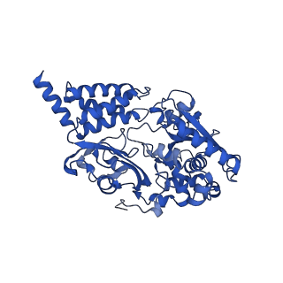 12095_7b93_F_v1-0
Cryo-EM structure of mitochondrial complex I from Mus musculus inhibited by IACS-2858 at 3.0 A