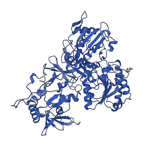 12095_7b93_G_v1-0
Cryo-EM structure of mitochondrial complex I from Mus musculus inhibited by IACS-2858 at 3.0 A