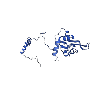 12095_7b93_I_v1-0
Cryo-EM structure of mitochondrial complex I from Mus musculus inhibited by IACS-2858 at 3.0 A