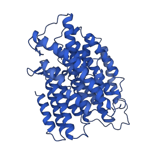 12095_7b93_M_v1-0
Cryo-EM structure of mitochondrial complex I from Mus musculus inhibited by IACS-2858 at 3.0 A