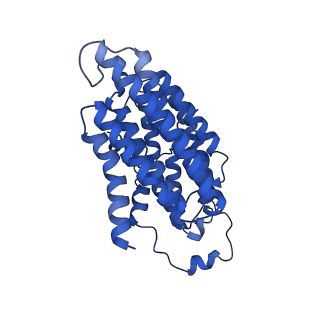 12095_7b93_N_v1-0
Cryo-EM structure of mitochondrial complex I from Mus musculus inhibited by IACS-2858 at 3.0 A