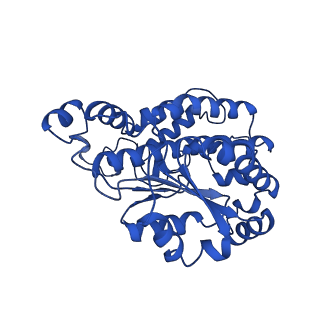 12095_7b93_O_v1-0
Cryo-EM structure of mitochondrial complex I from Mus musculus inhibited by IACS-2858 at 3.0 A