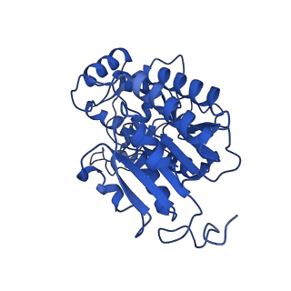 12095_7b93_P_v1-0
Cryo-EM structure of mitochondrial complex I from Mus musculus inhibited by IACS-2858 at 3.0 A