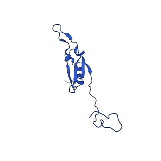 12095_7b93_Q_v1-0
Cryo-EM structure of mitochondrial complex I from Mus musculus inhibited by IACS-2858 at 3.0 A