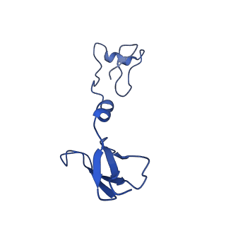 12095_7b93_R_v1-0
Cryo-EM structure of mitochondrial complex I from Mus musculus inhibited by IACS-2858 at 3.0 A