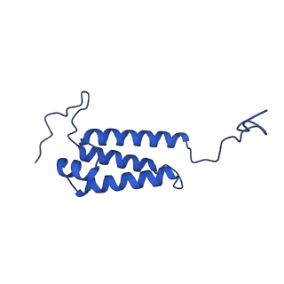 12095_7b93_V_v1-0
Cryo-EM structure of mitochondrial complex I from Mus musculus inhibited by IACS-2858 at 3.0 A