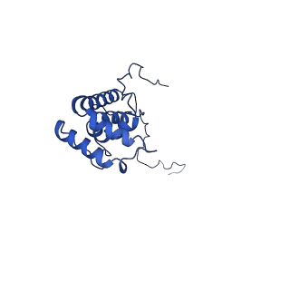 12095_7b93_X_v1-0
Cryo-EM structure of mitochondrial complex I from Mus musculus inhibited by IACS-2858 at 3.0 A