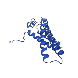 12095_7b93_Y_v1-0
Cryo-EM structure of mitochondrial complex I from Mus musculus inhibited by IACS-2858 at 3.0 A