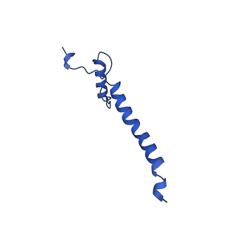 12095_7b93_a_v1-0
Cryo-EM structure of mitochondrial complex I from Mus musculus inhibited by IACS-2858 at 3.0 A