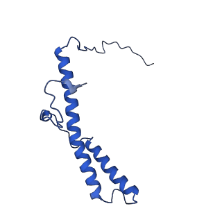 12095_7b93_d_v1-0
Cryo-EM structure of mitochondrial complex I from Mus musculus inhibited by IACS-2858 at 3.0 A