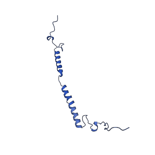 12095_7b93_g_v1-0
Cryo-EM structure of mitochondrial complex I from Mus musculus inhibited by IACS-2858 at 3.0 A