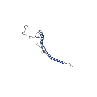 12095_7b93_h_v1-0
Cryo-EM structure of mitochondrial complex I from Mus musculus inhibited by IACS-2858 at 3.0 A