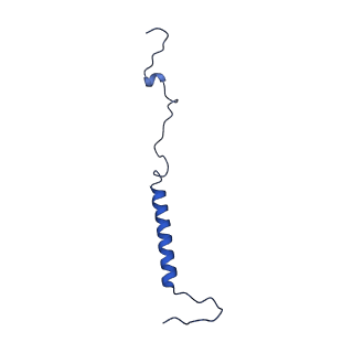 12095_7b93_j_v1-0
Cryo-EM structure of mitochondrial complex I from Mus musculus inhibited by IACS-2858 at 3.0 A