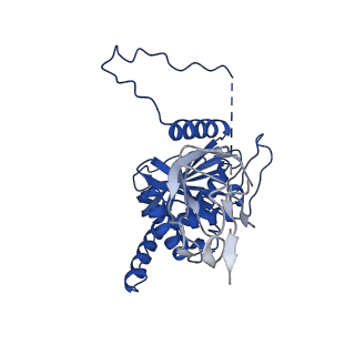 12104_7b9k_A_v1-1
Cryo-EM structure of the dihydrolipoyl transacetylase cubic core of the E. coli pyruvate dehydrogenase complex including lipoyl domains