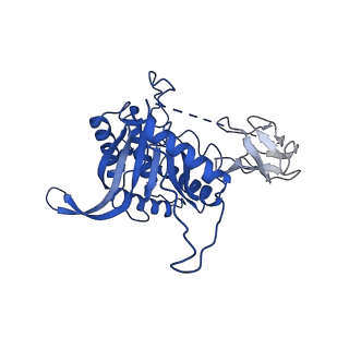 12104_7b9k_C_v1-1
Cryo-EM structure of the dihydrolipoyl transacetylase cubic core of the E. coli pyruvate dehydrogenase complex including lipoyl domains