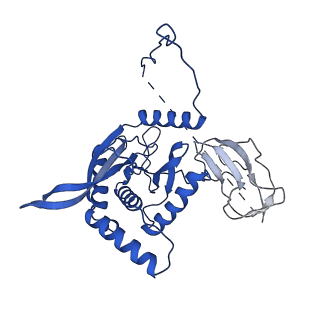 12104_7b9k_D_v1-1
Cryo-EM structure of the dihydrolipoyl transacetylase cubic core of the E. coli pyruvate dehydrogenase complex including lipoyl domains