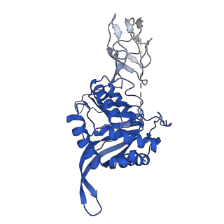 12104_7b9k_E_v1-1
Cryo-EM structure of the dihydrolipoyl transacetylase cubic core of the E. coli pyruvate dehydrogenase complex including lipoyl domains