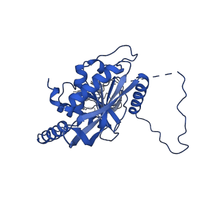 12104_7b9k_F_v1-1
Cryo-EM structure of the dihydrolipoyl transacetylase cubic core of the E. coli pyruvate dehydrogenase complex including lipoyl domains