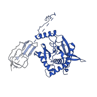 12104_7b9k_H_v1-1
Cryo-EM structure of the dihydrolipoyl transacetylase cubic core of the E. coli pyruvate dehydrogenase complex including lipoyl domains