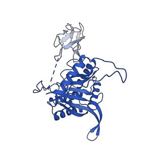 12104_7b9k_I_v1-1
Cryo-EM structure of the dihydrolipoyl transacetylase cubic core of the E. coli pyruvate dehydrogenase complex including lipoyl domains