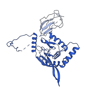 12104_7b9k_J_v1-1
Cryo-EM structure of the dihydrolipoyl transacetylase cubic core of the E. coli pyruvate dehydrogenase complex including lipoyl domains