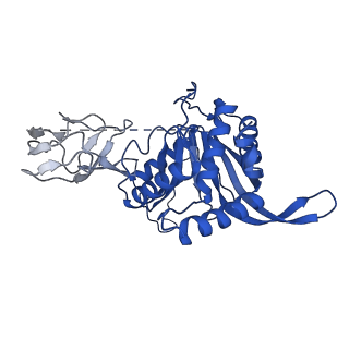 12104_7b9k_K_v1-1
Cryo-EM structure of the dihydrolipoyl transacetylase cubic core of the E. coli pyruvate dehydrogenase complex including lipoyl domains
