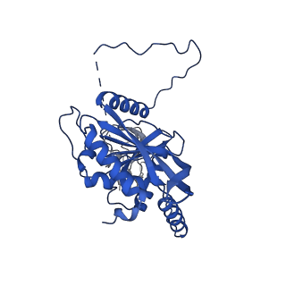 12104_7b9k_L_v1-1
Cryo-EM structure of the dihydrolipoyl transacetylase cubic core of the E. coli pyruvate dehydrogenase complex including lipoyl domains