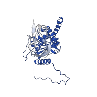 12104_7b9k_M_v1-1
Cryo-EM structure of the dihydrolipoyl transacetylase cubic core of the E. coli pyruvate dehydrogenase complex including lipoyl domains