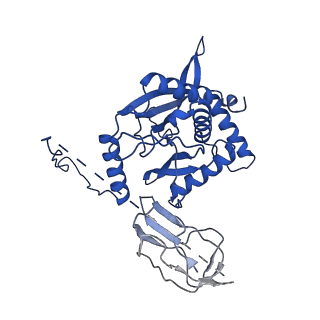 12104_7b9k_N_v1-1
Cryo-EM structure of the dihydrolipoyl transacetylase cubic core of the E. coli pyruvate dehydrogenase complex including lipoyl domains