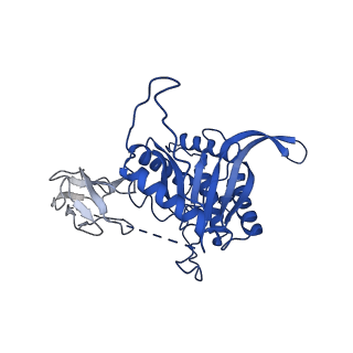 12104_7b9k_O_v1-1
Cryo-EM structure of the dihydrolipoyl transacetylase cubic core of the E. coli pyruvate dehydrogenase complex including lipoyl domains