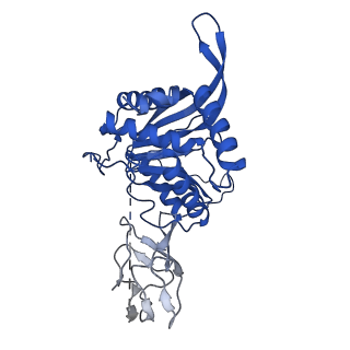 12104_7b9k_P_v1-1
Cryo-EM structure of the dihydrolipoyl transacetylase cubic core of the E. coli pyruvate dehydrogenase complex including lipoyl domains