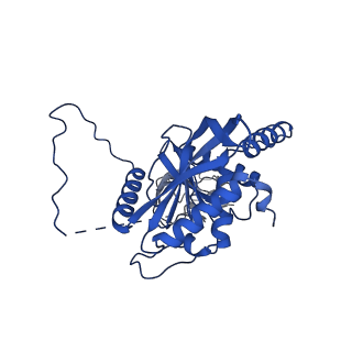 12104_7b9k_Q_v1-1
Cryo-EM structure of the dihydrolipoyl transacetylase cubic core of the E. coli pyruvate dehydrogenase complex including lipoyl domains