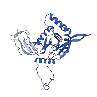 12104_7b9k_R_v1-1
Cryo-EM structure of the dihydrolipoyl transacetylase cubic core of the E. coli pyruvate dehydrogenase complex including lipoyl domains