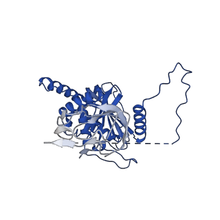 12104_7b9k_S_v1-1
Cryo-EM structure of the dihydrolipoyl transacetylase cubic core of the E. coli pyruvate dehydrogenase complex including lipoyl domains