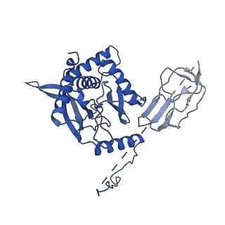 12104_7b9k_T_v1-1
Cryo-EM structure of the dihydrolipoyl transacetylase cubic core of the E. coli pyruvate dehydrogenase complex including lipoyl domains
